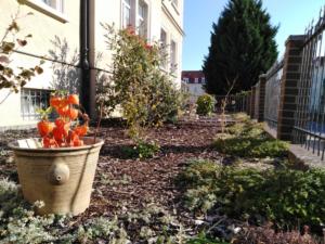 Der Garten